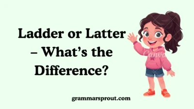 Ladder or Latter – What’s the Difference?