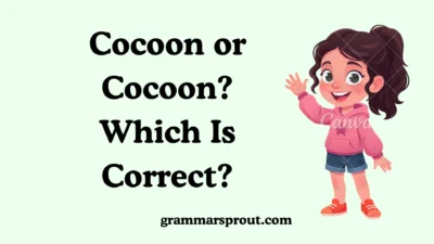 Cocoon or Cocoon? Which Is Correct