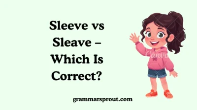 Sleeve vs Sleave