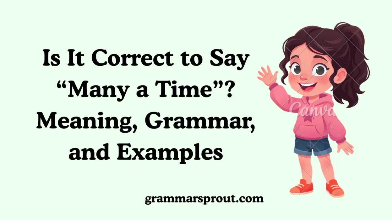 Is It Correct to Say “Many a Time