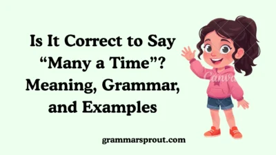 Is It Correct to Say “Many a Time