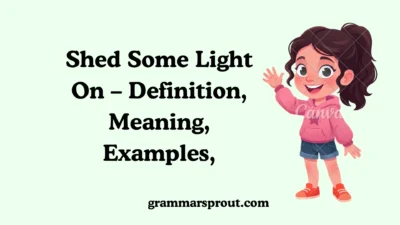 Shed Some Light On