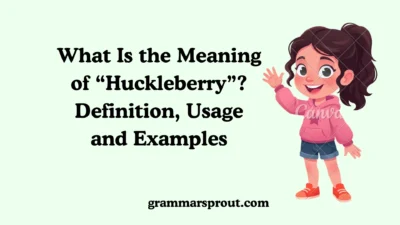 What Is the Meaning of “Huckleberry”